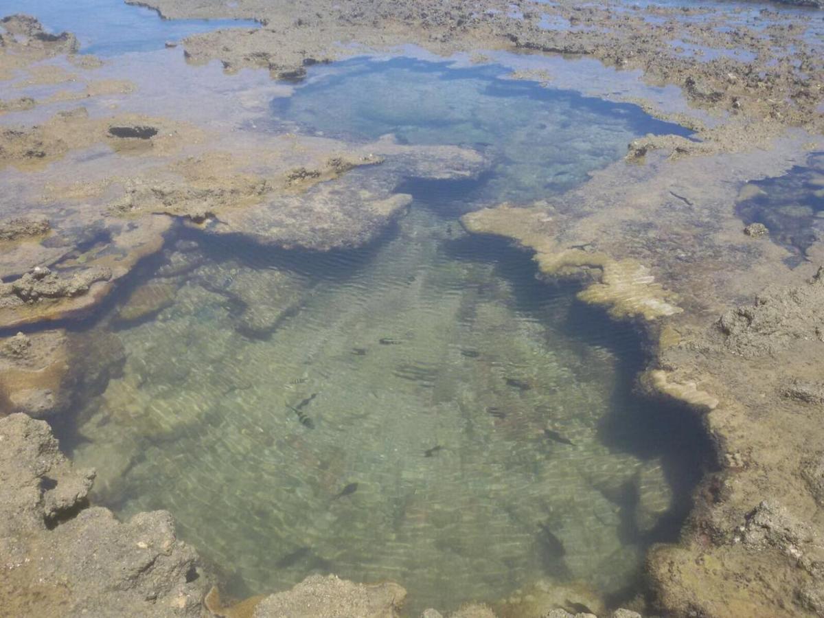 Pousada Recanto Da Enseada Cabo de Santo Agostinho Εξωτερικό φωτογραφία
